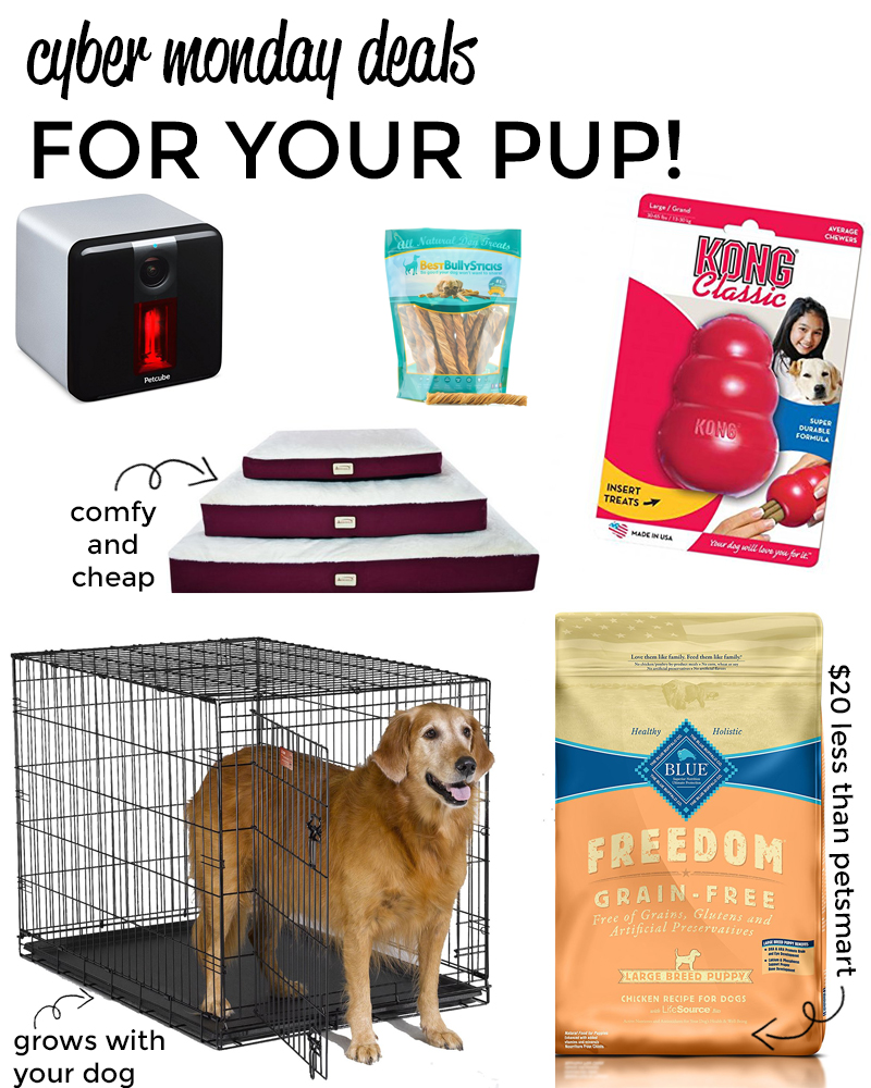 cyber-monday-for-the-pup
